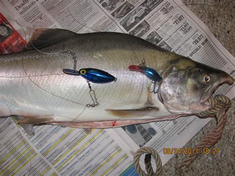 i fish|IFish Fishing Forum.